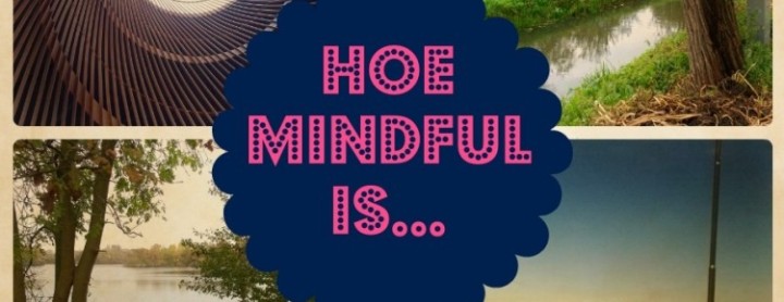 hoe-mindful-is-header-mindjoy-750x290